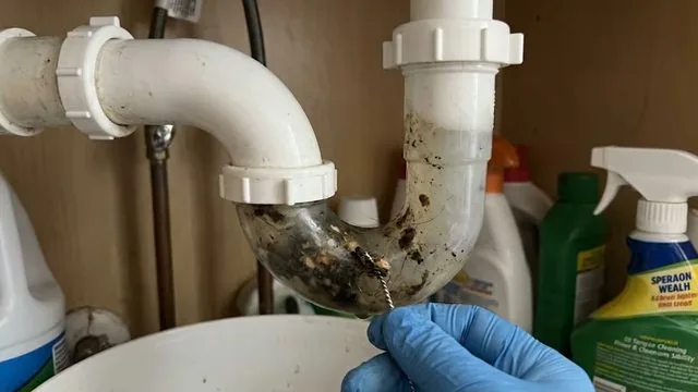 A gloved hand holding a white P-trap removed from under a sink, with dark buildup inside the bend.