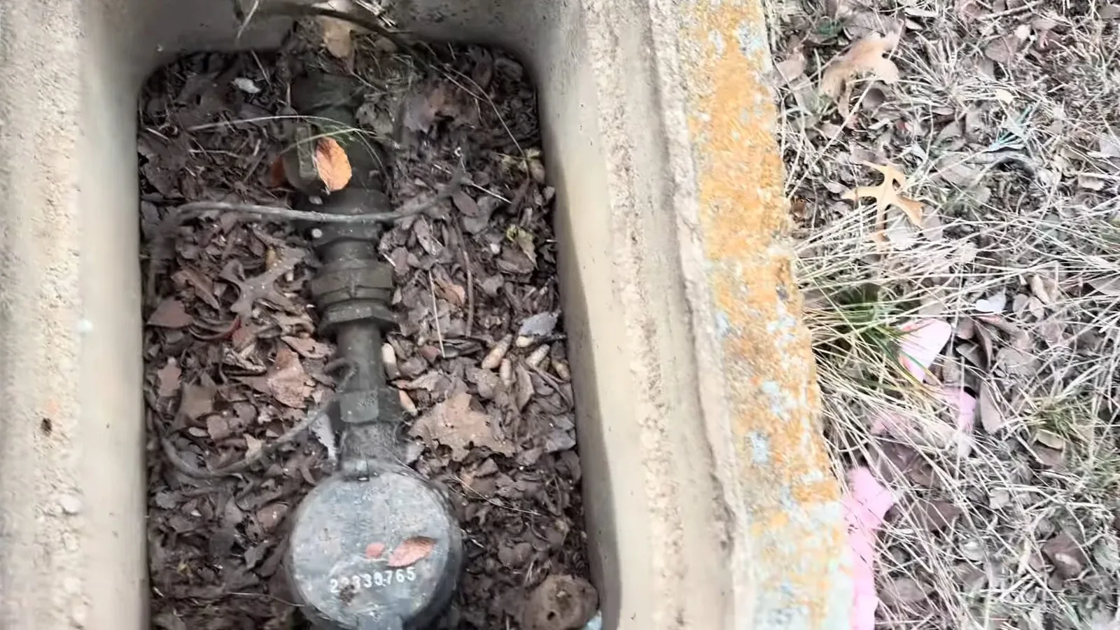 Old water meter and service line inside a concrete ground box packed with dry leaves.