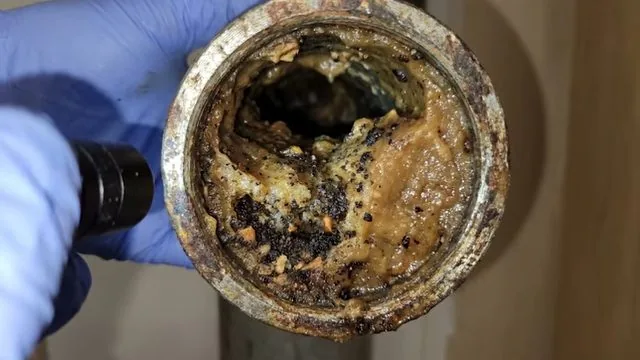 A gloved hand holding a section of drain trap with a thick brown coating of residue and debris on its inner wall.
