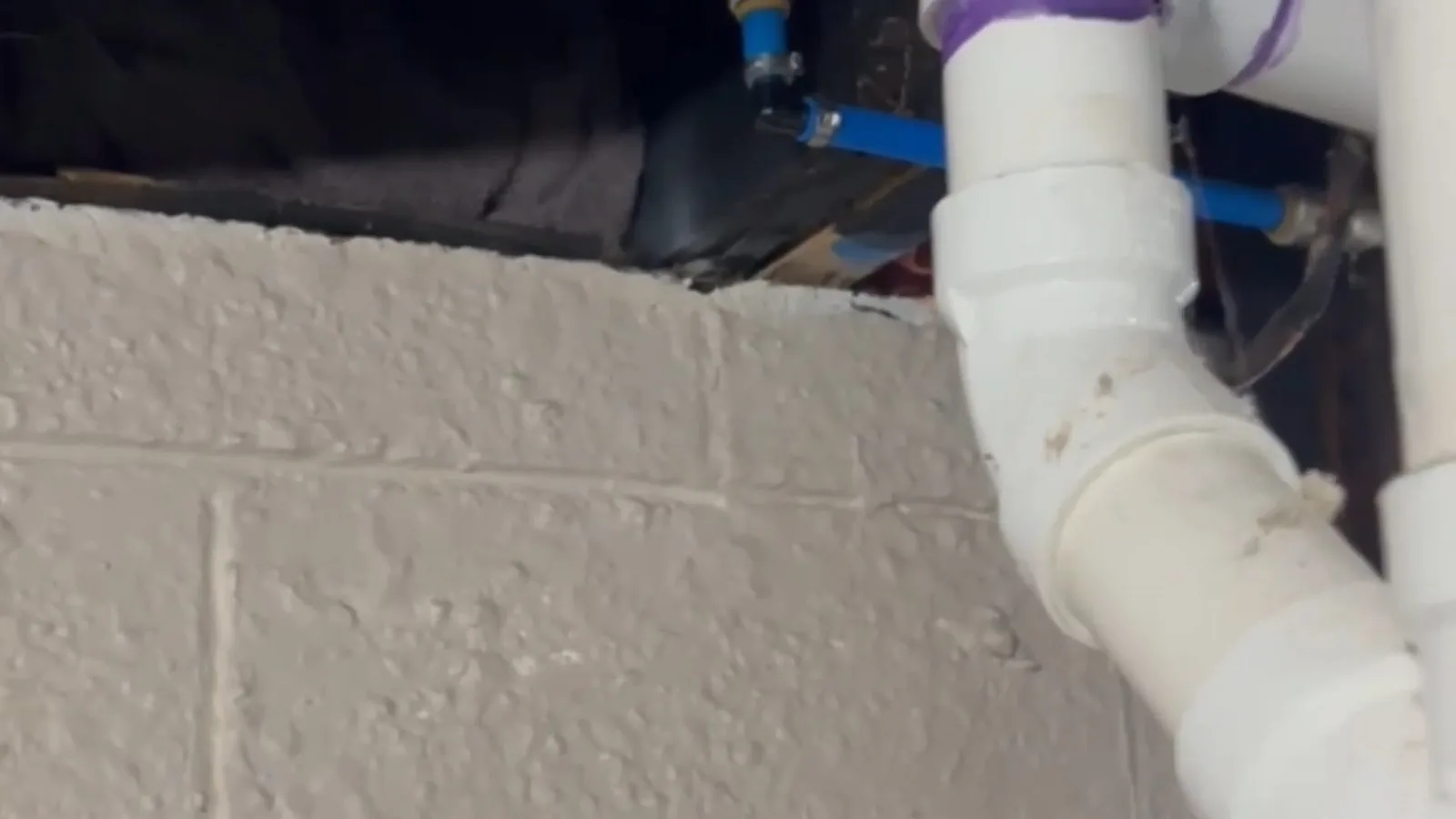 A white plastic drain elbow and fittings beside a painted concrete block wall, with a blue supply line behind.